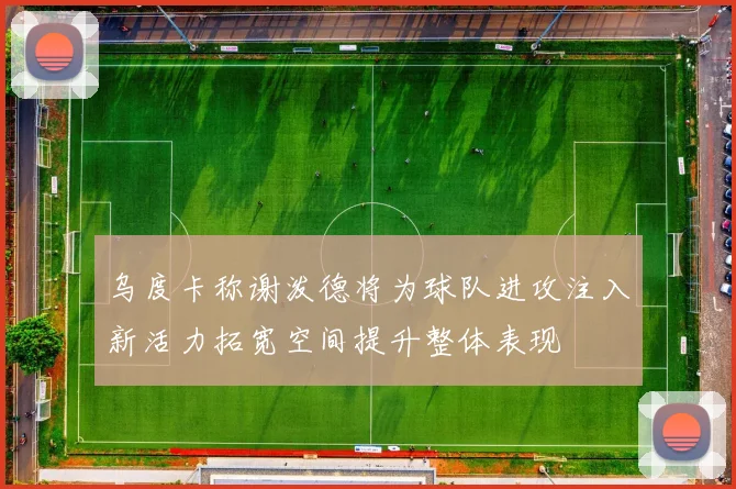 乌度卡称谢泼德将为球队进攻注入新活力拓宽空间提升整体表现