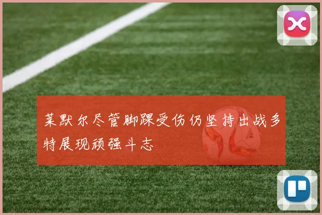 莱默尔尽管脚踝受伤仍坚持出战多特展现顽强斗志