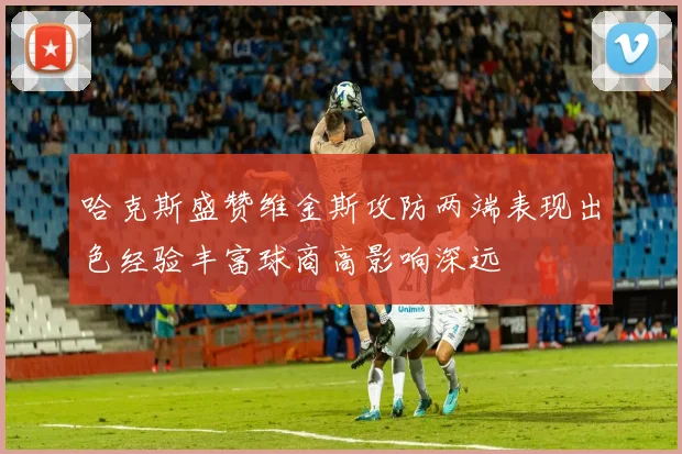 哈克斯盛赞维金斯攻防两端表现出色经验丰富球商高影响深远